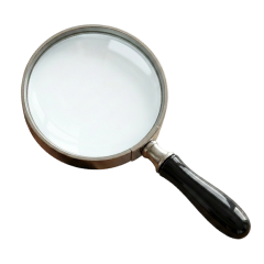 No Search